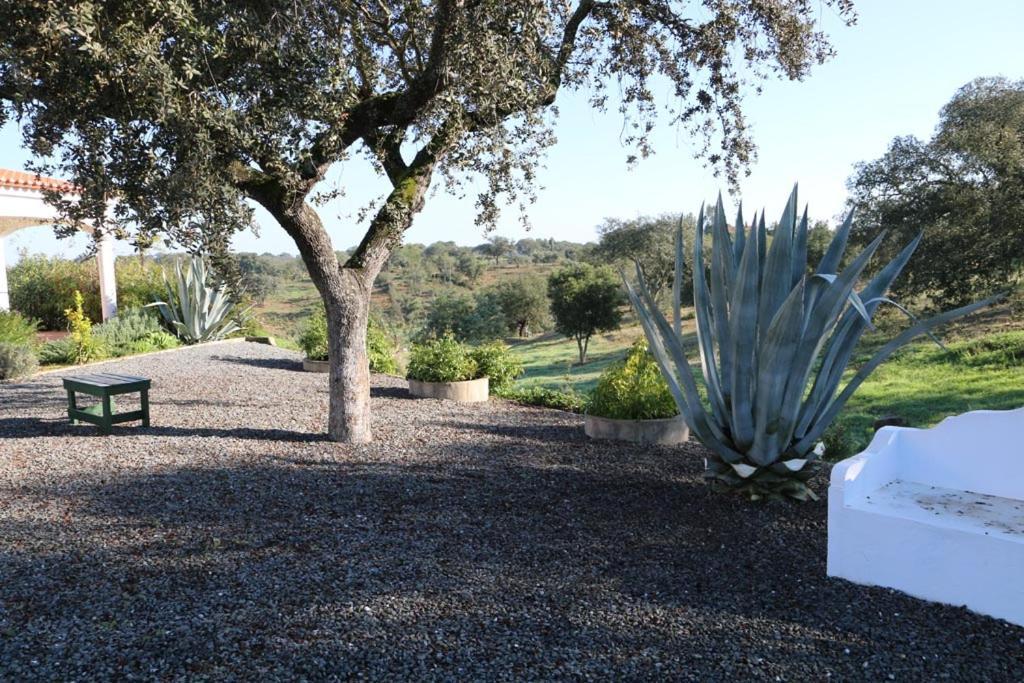 Monte Novo Da Sobreira, Rust En Ruimte In Zuid Alentejo Apartman Ourique Kültér fotó