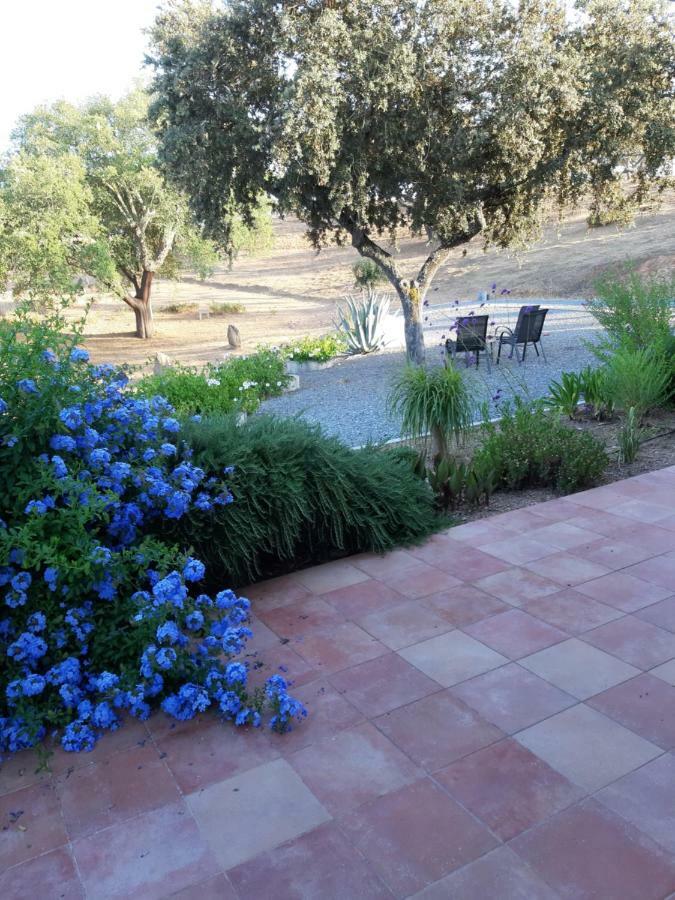 Monte Novo Da Sobreira, Rust En Ruimte In Zuid Alentejo Apartman Ourique Kültér fotó